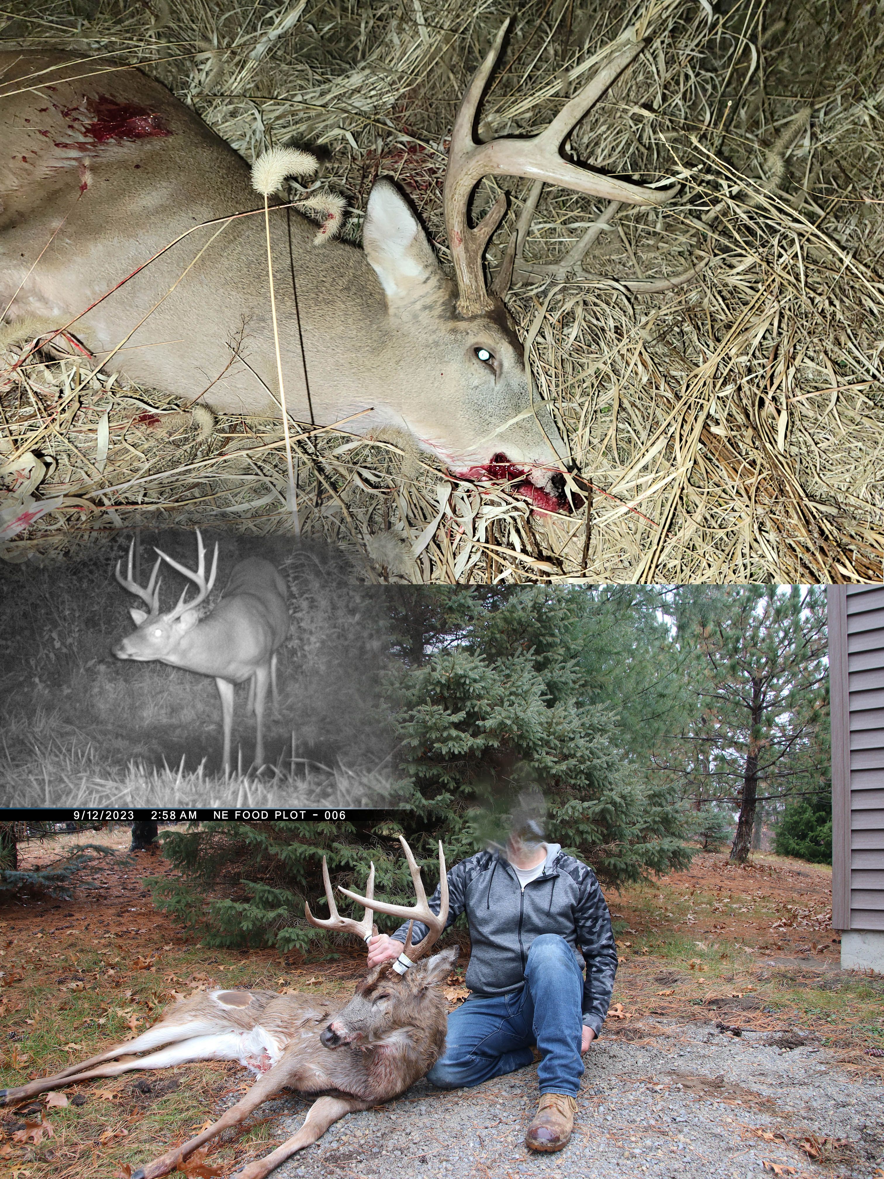 Listing Photo: 2023 Crossbow 8pt-2